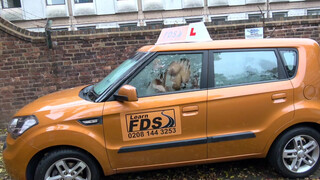 Fake Driving School csöcsö piercinges gót spiné popsiba kéri