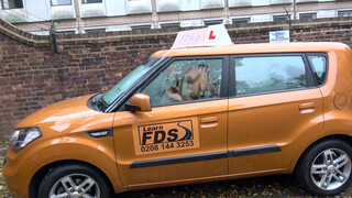 Fake Driving School Amber Rayne esete a méretes barna fasszal